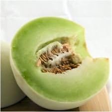 New Fresh 100pcs Green Honeydew Melon Vegetable Seeds - Sweet and Crisp Honeydew Melons for Your Garden 100 pcs